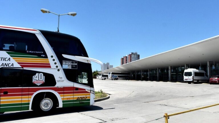 El Gobierno reglamentó la desregulación del transporte de pasajeros: todos los detalles