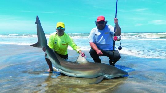 Tiburones: batallas contra los más grandes
