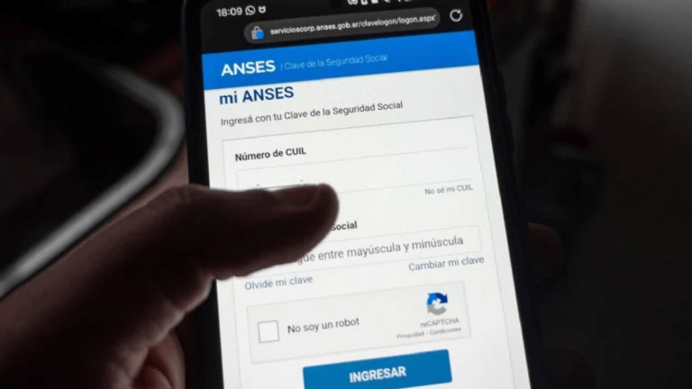 ANSES: el beneficio de $83.387 que se otorgará en enero 2025