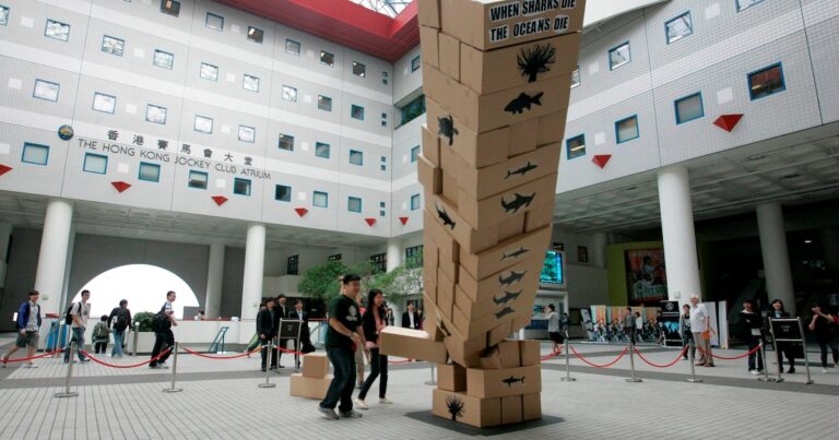 El nuevo plan educativo de China que tolera el fracaso como una forma de aprendizaje