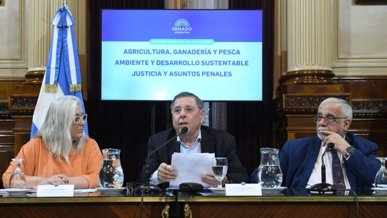 Senado: Alfredo De Ángeli asumirá como presidente del bloque del PRO