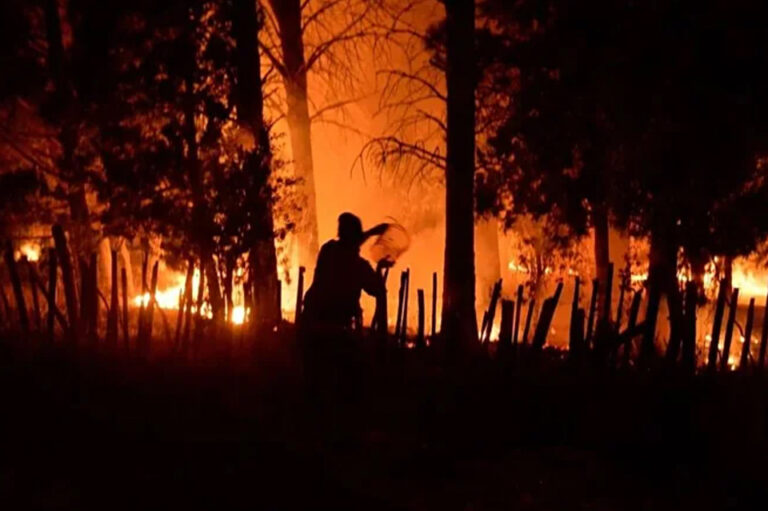«No tenemos bomberos ni brigadistas»