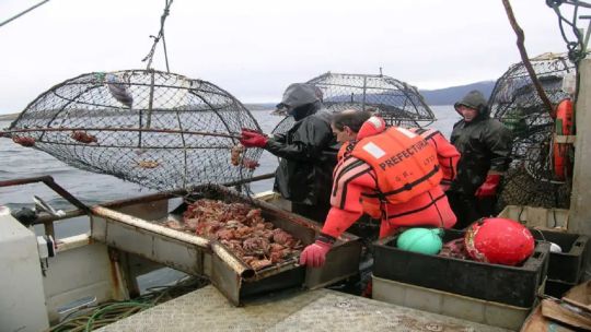 Alertan que, la actividad pesquera argentina está en situación de quebranto