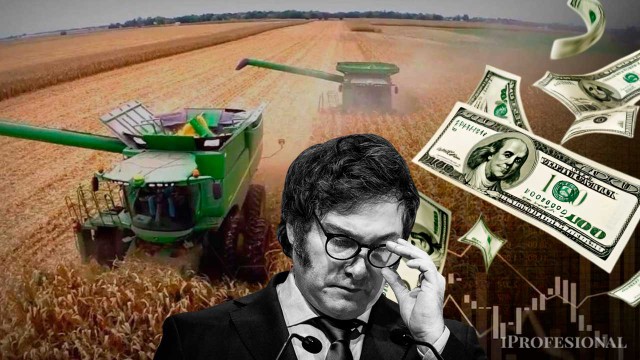 El laberinto de Milei: el campo espera baja de retenciones pero la situación fiscal no le da margen