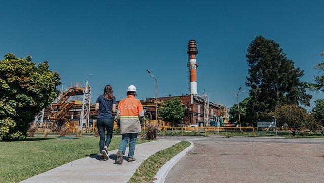 Gigante del acero aplica más de 200 suspensiones y su producción cae a la mitad