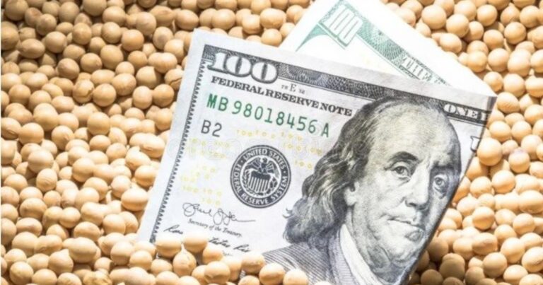 Tras la quita de retenciones, el precio de la soja da un salto en el mercado local